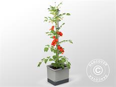 Jardinière, TOM TOMATO, avec piquet et réservoir d’eau, Gris clair