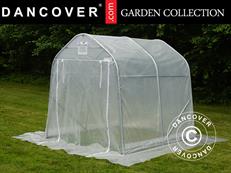 Serre tunnel, 2x2x2m, PE, 4m², Transparent