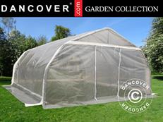 Serre tunnel, 5,4x6x2,9m, PE, 32,4m², Transparent