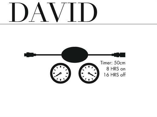 Laikrodis David serijai LIKO TIK 1 VNT.