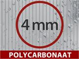 Broeikas Polycarbonaat 4,78m², 1,9x2,52x2,01m met basis, Zwart
