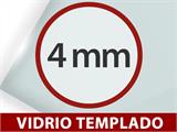 Invernadero de cristal 2,44x3,68x2,34m w/base, 8,97m², Negro