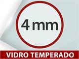 Estufa de vidro 2,44x3,08x2,34m c/base, 7,51m², Preto