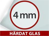 Växthus glas 2,44x3,68x2,34m med bas, 8,97m², Svart