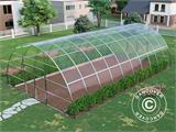 Greenhouse polycarbonate, Strong NOVA 60 m², 6x10 m, Silver