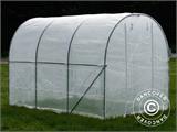 Polytunnel Greenhouse 2x3x2 m, 6 m², Transparent