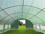 Serre Tunnel 4x6,6x2m, 26,4m², Vert