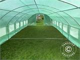 Polytunnel Kasvuhoone 4x10,6x2m, 42,4m², Roheline