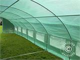 Tunnelkas 4x10,6x2m, 42,4m², Groen