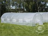 Serre Tunnel 4x10,6x2m, 42,4m², Transparent