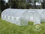 Serre Tunnel 4x10,6x2m, 42,4m², Transparent