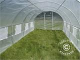 Polytunnel Kasvuhoone 4x10,6x2m, 42,4m², Selge