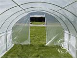 Polytunnel Greenhouse 4x10.6x2 m, 42.4 m², Transparent