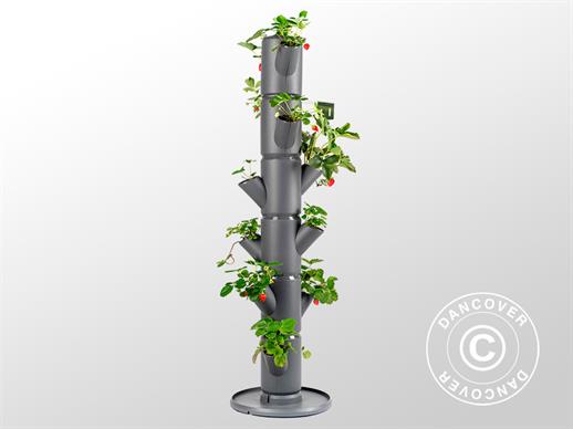 Torre para plantas, SISSI STRAWBERRY, produtor vertical, Antracite