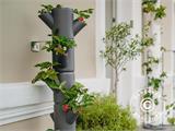 Tour pour plantes, SISSI STRAWBERRY, plantation verticale, Anthracite