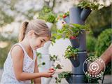 Plant tower, SISSI STRAWBERRY, vertical planter, Anthracite