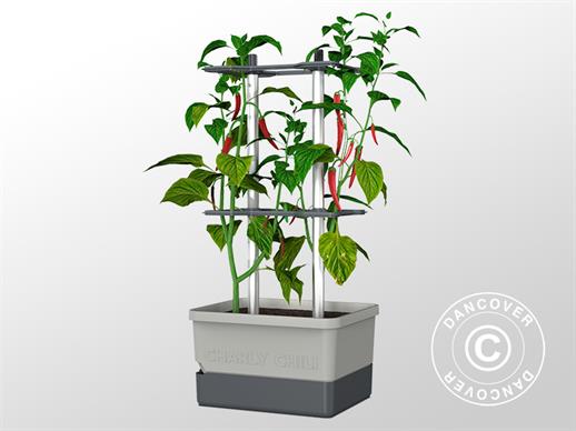Planter, CHARLY CHILI, w/stake and water tank, Light Grey