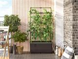 Plantenbak CityJungle incl. zomerafdekking, zelf bewaterende bak, 62x33x128cm, Antraciet