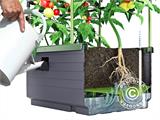 Jardinera CityJungle incluye cubierta de verano, caja de riego automático, 62x33x128cm, Antracita