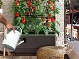 Planter box CityJungle w/2 covers, self-watering box, 62x33x128 cm, Anthracite