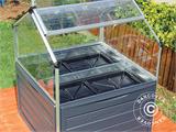 Mini Greenhouse PLANT INN, Palram/Canopia, 1.18x1.18x1.48 m, Clear