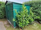 Garden Shed 2.77x2.55x1.92 m ProShed®, Anthracite