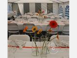 Tendone per feste PLUS 4x8m PE, Grigio/Bianco