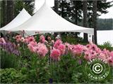 Marquee UNICO 5x10 m, Black Marquee UNICO 5x10 m, Black