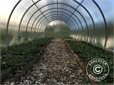 Greenhouse polycarbonate, Strong NOVA 32 m², 4x8 m, Silver