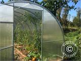 Greenhouse polycarbonate, Strong NOVA 48 m², 4x12 m, Silver