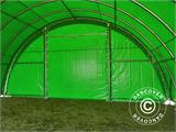 Tunnel agricole 9,15x12x4,5m, PVC Vert