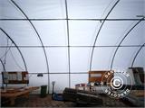 Tunnel agricole 9,15x12x4,5m, PVC, Blanc