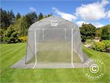 Serre tunnel, 2,4x2,4x2m, PE, 5,7m², Transparent