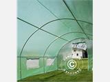 Polytunnel Kasvuhoone 3x6x2m, 18m², Roheline