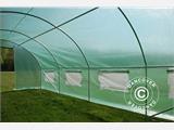 Polytunnel Greenhouse 3x8x2 m, 24 m², Green