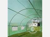 Polytunnel Greenhouse 3x8x2 m, 24 m², Green