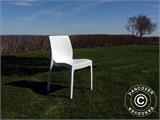 Chaise empilable, Ice, Blanc laqué, 1 pcs. RESTE SEULEMENT 2 PC